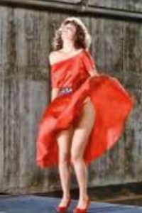 Woman in Red, The [I Just Called to Say I Love You]